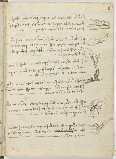 Código sobre el vuelo de los pájaros, c. 1505-06, manuscrito en papel, cc. 18, hoja 8 recto de Leonardo da Vinci